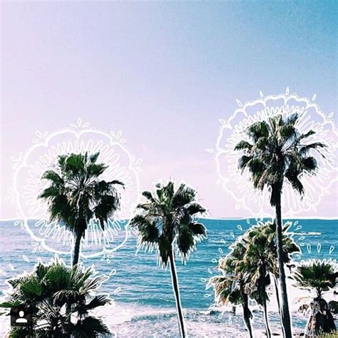 Palm Trees Beach Pictures Instagram Aesthetic Pictures