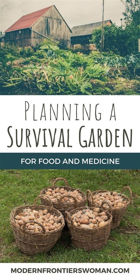 Planning A Survival Garden For Food And Medicine Modern