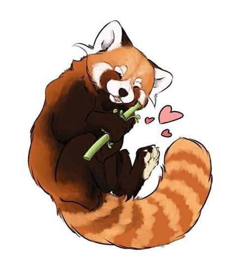 красная панда Cute Animal Drawings Panda Art Red Panda Cute