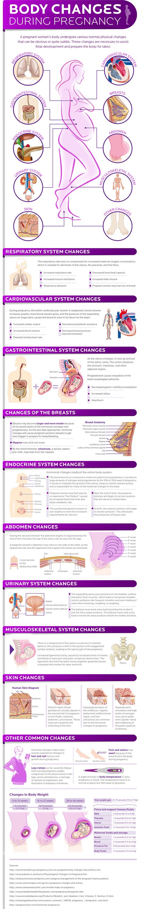How A Womans Body Changes During Pregnancy Infographic