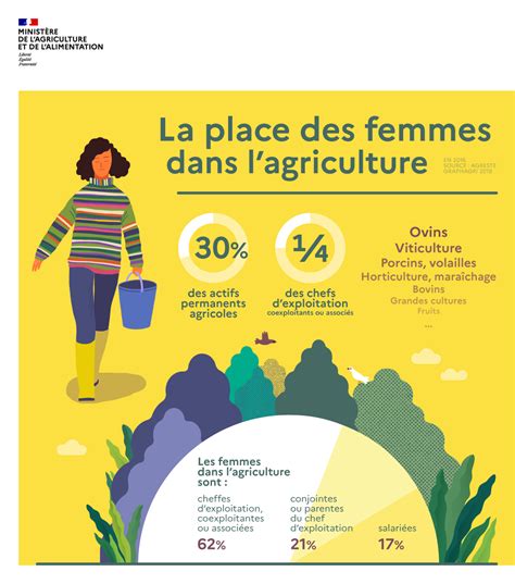 Infographie La Place Des Femmes Dans Lagriculture Ministère De L