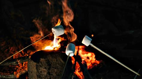 You Can Roast Marshmallows On A Campfire In Downtown Montreal This