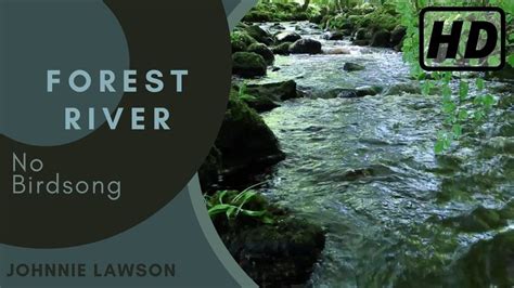 Forest River Nature Sounds Forest River Hd Version Calming Series