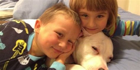 Your Kids And Pit Bulls Love Each Other Huffpost