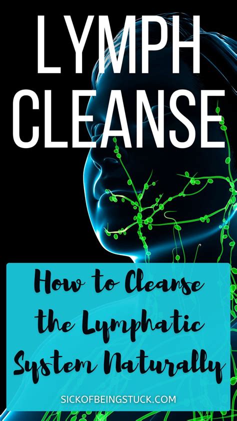 Lymph Cleanse How To Cleanse The Lymphatic System Naturally In 2021