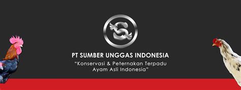 pt sumber rasa indonesia career information 2023 glints porn sex picture