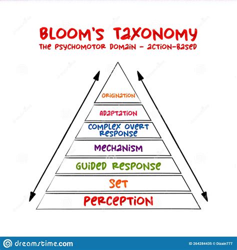 Hand Drawn Bloom S Taxonomy The Psychomotor Domain Action Based
