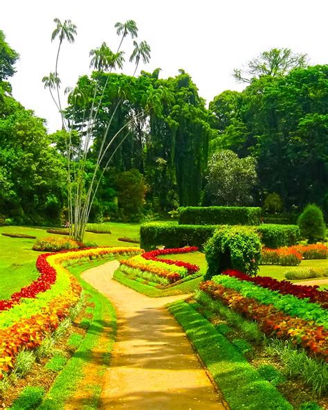 3 Gardens You Must Visit In Sri Lanka Love Sri Lanka