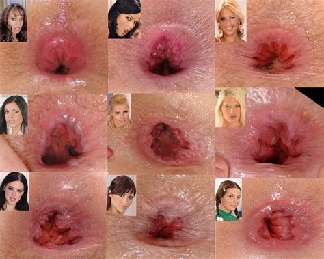 A Collage Pf Porn Star Assholes Can Anyone Name Themポルノ写真 Eporner