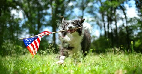 July Th Fun Facts Things You Didn T Know Guideposts