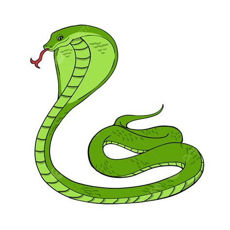 Caricatura Estilo Cobra Verde Clipart Png Imágenes Prediseñadas De