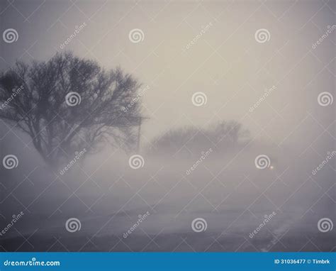 Foggy Road Royalty Free Stock Photo 12507987