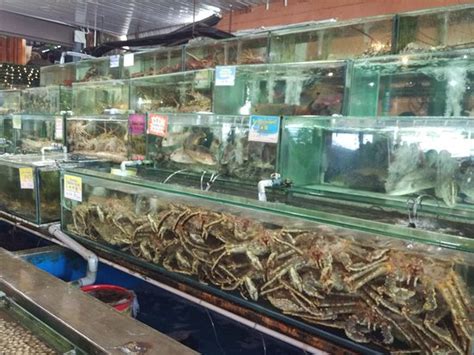 In addition, aquaculture farms provide a steady supply of fish around the year. aquarium - Picture of Bali Hai Seafood Market, Penang ...