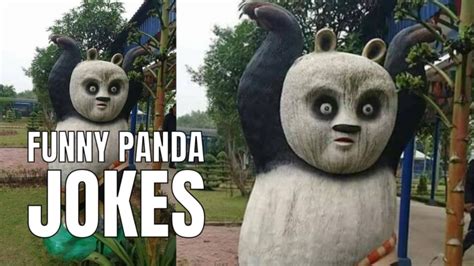 50 Funny Panda Jokes To Get Your Daily Dose Of Cuteness