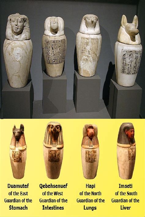 What Were Canopic Jars In Ancient Egypt And What Was Their Appearance