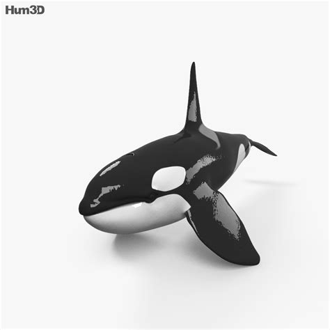 Killer Whale Print Ready 3d Model Download Animals On
