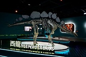 八大化石標本組裝成的巨型恐龍現身香港科學館（附圖）