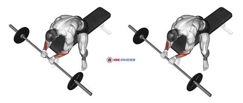 Barbell Reverse Wrist Curl Home Gym Review