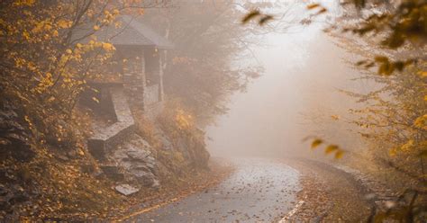 5 Tips For Finding Beautiful Fall Foliage In Massachusetts Leaf Peeping