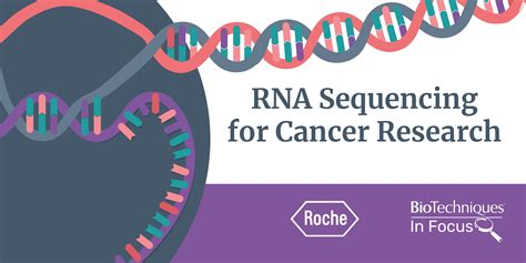 Rna Sequencing For Cancer Research Biotechniques
