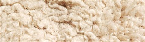 Why Choose Australian Wool Products