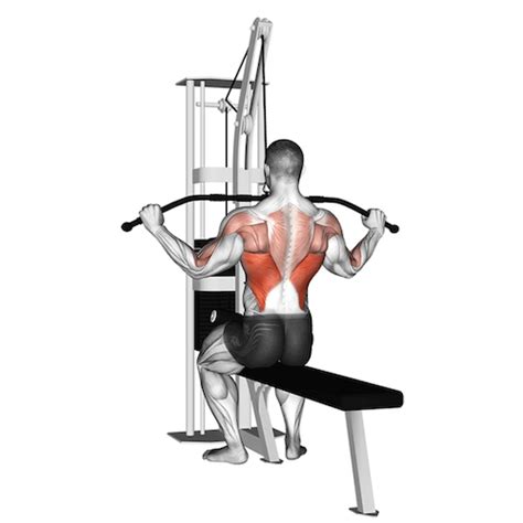 Wide Grip Lat Pulldown A Complete Guide How To Build A Bigger Back