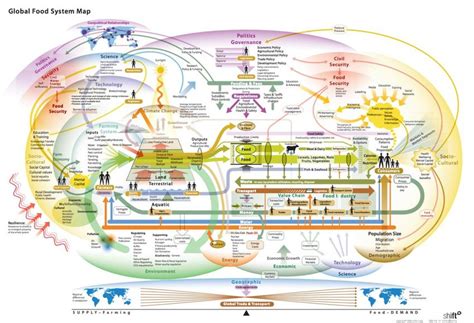 Global Food System Ideas From The Un Food Systems Summit