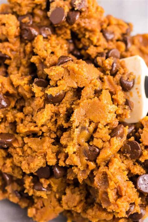 Vegan Pumpkin Chocolate Chip Cookies Build Your Bite