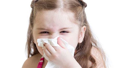 Ent Specialist For Your Childs Allergies