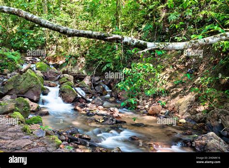 Cascada El Tirol En La Selva De Chanchamayo En Perú Fotografía De Stock