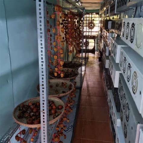 Zack Voell On Twitter A Miner Casually Drying Persimmons In One Of Their Facilities