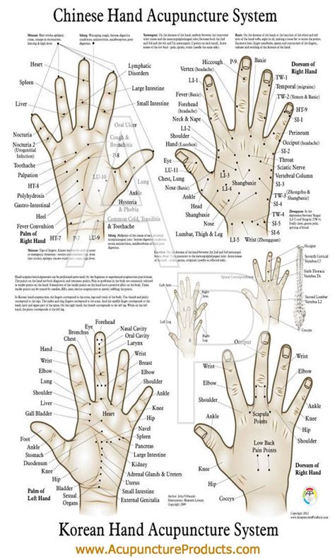 Hand Reflexology Chart Acupuncture Pressure Points Hand Reflexology