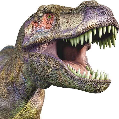 Dinosaurio Rex Png Free Logo Image