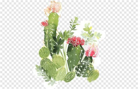 Green And Multicolored Cacti Illustration Watercolour Flowers