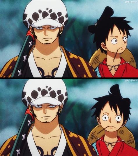 One Piece Trafalgar Law And Monkey D Luffy Anime One Piece Anime