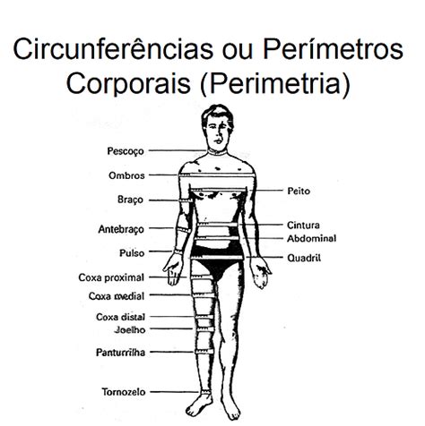 circunferência o perímetro Medidas e Avaliação Física