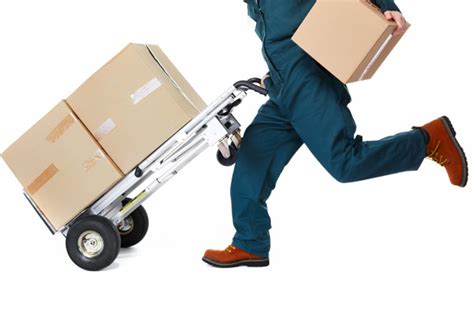 Professional Movers Things You Should Know About Best Hiring