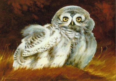 Baby Owl Painting By Richard Hinger Fine Art America