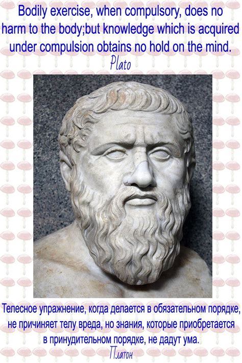 Aphorisms And Quotes Plato Цитаты Платон Символы