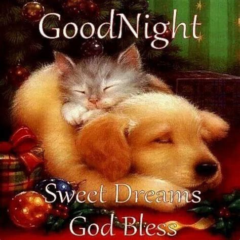 Goodnight Sweet Dreams Pictures Photos And Images For Facebook