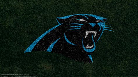 Carolina Panthers Hd Wallpaper Hintergrund 1920x1080 Id981716