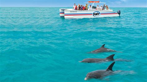 Charter your own yacht for an unforgettable sailing vacation in the florida keys. Key West Dolphin Watch | Snorkeling and Dolphins in Key West