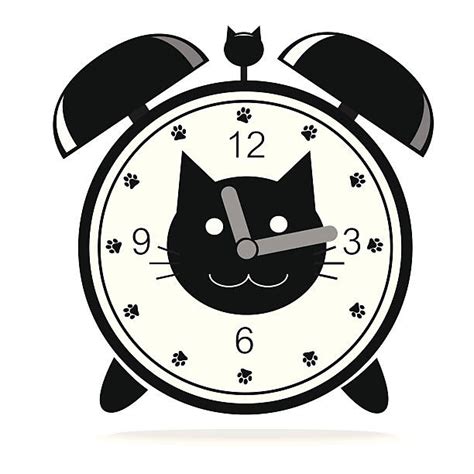 3100 Cat Clock Stock Photos Pictures And Royalty Free Images Istock