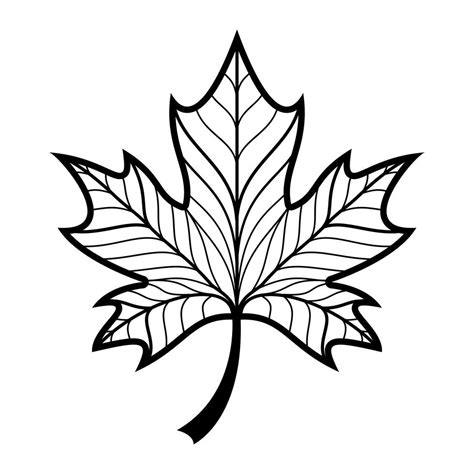 Autumn Maple Leaf Vector Logo 552110 Vector Art At Vecteezy