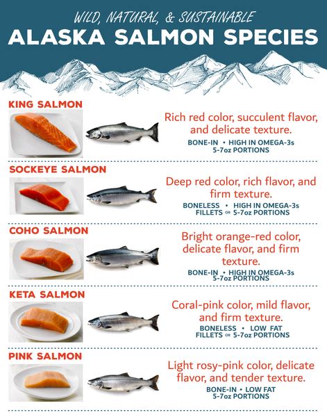 The Five Wild Alaskan Salmon Species Wild For Salmon