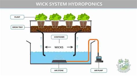Wick System Hydroponics Pros And Cons And Everything You Need To Know