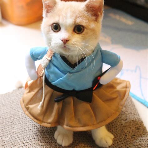 High Quality Pet Costume Cats Dress Funny Cat Clothes Cute