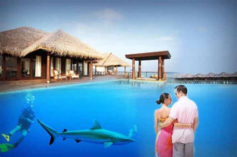 Honeymoon In Maldives Honeymoon Places In Maldivesmaldives Honeymoon