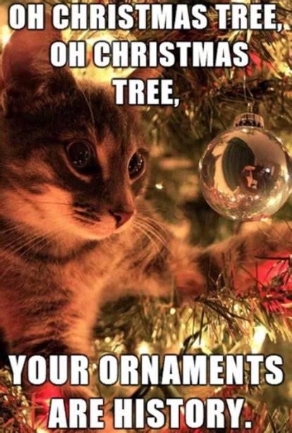20 Funny Christmas 2017 Memes To Get You Into The Holly