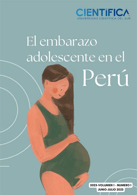 Factores De Riesgo Del Embarazo Adolescente Guías Proyectos Investigaciones De Obstetricia